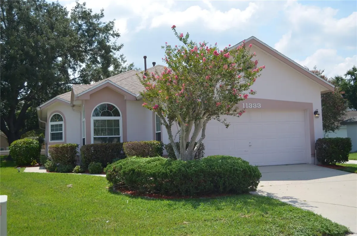 11333 Pink Blossom Court, Orlando, FL 32821 - #1