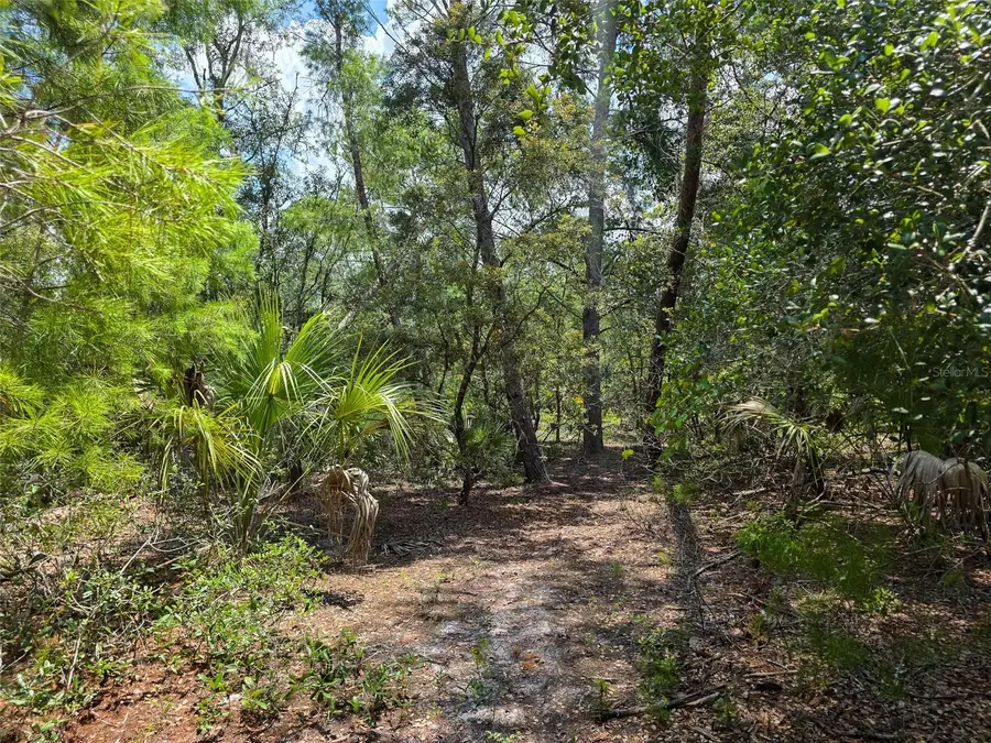 340 Sand Pine Place, Geneva, FL 32732 - #2