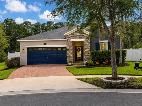 19311 Prairie Tree Place, TAMPA, FL 33647