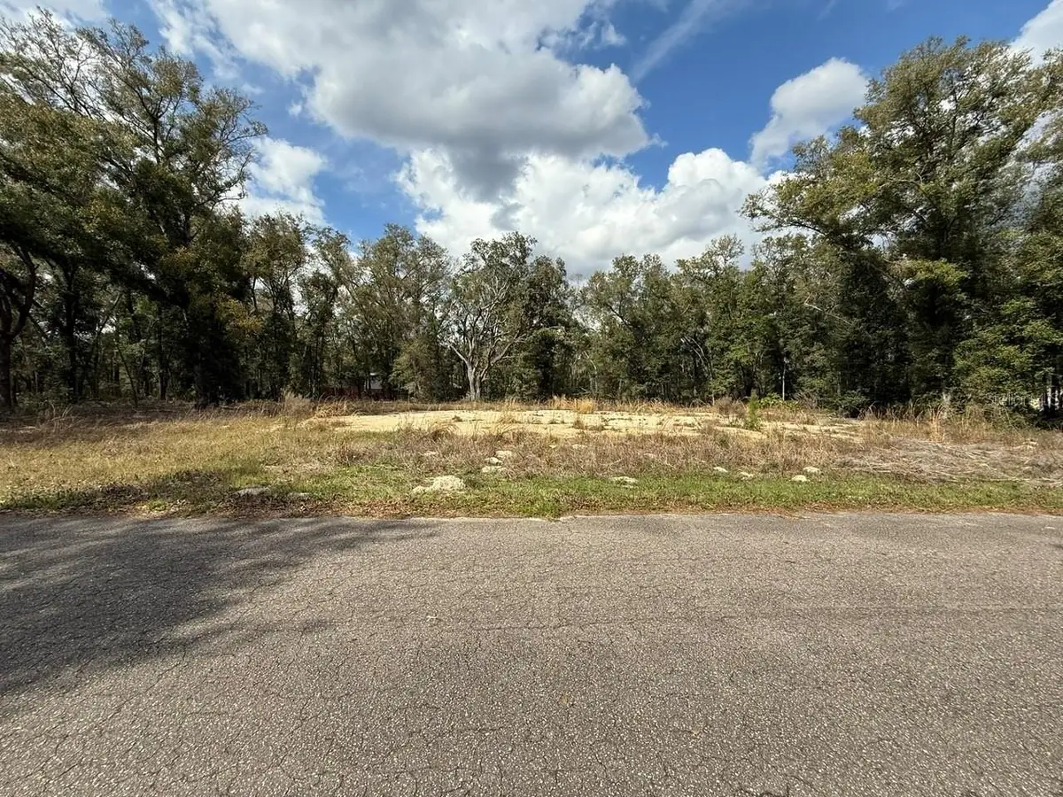 5 Fisher Lane Course, Ocklawaha, FL 32179 - #1