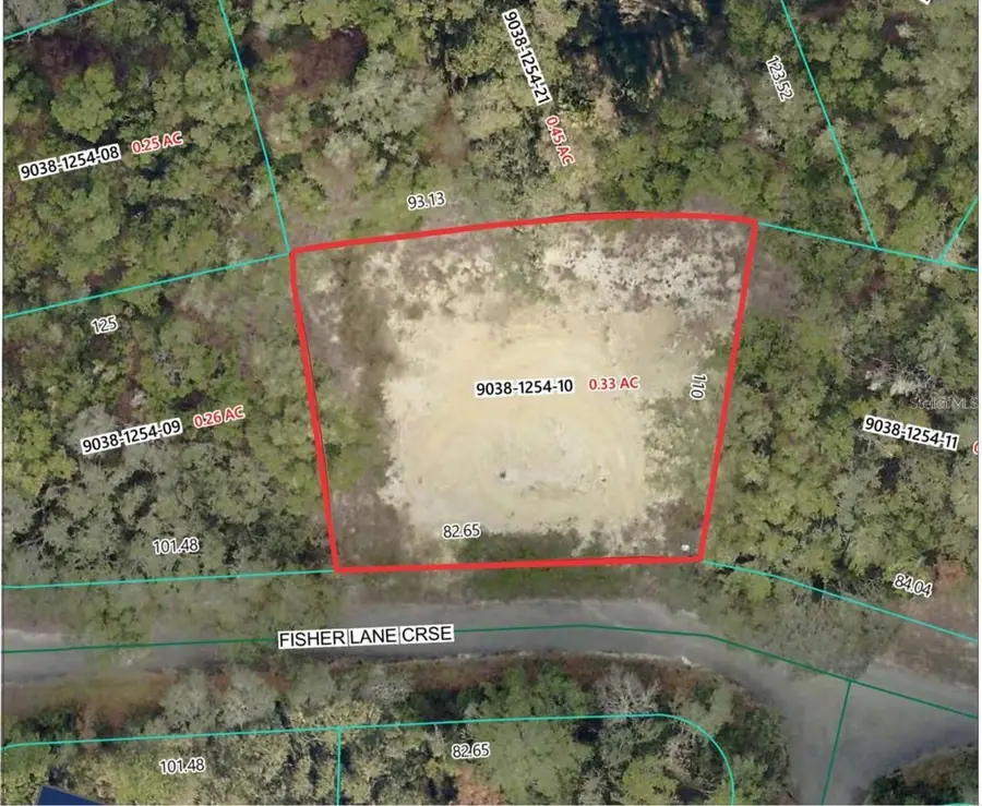 5 Fisher Lane Course, Ocklawaha, FL 32179 - #2