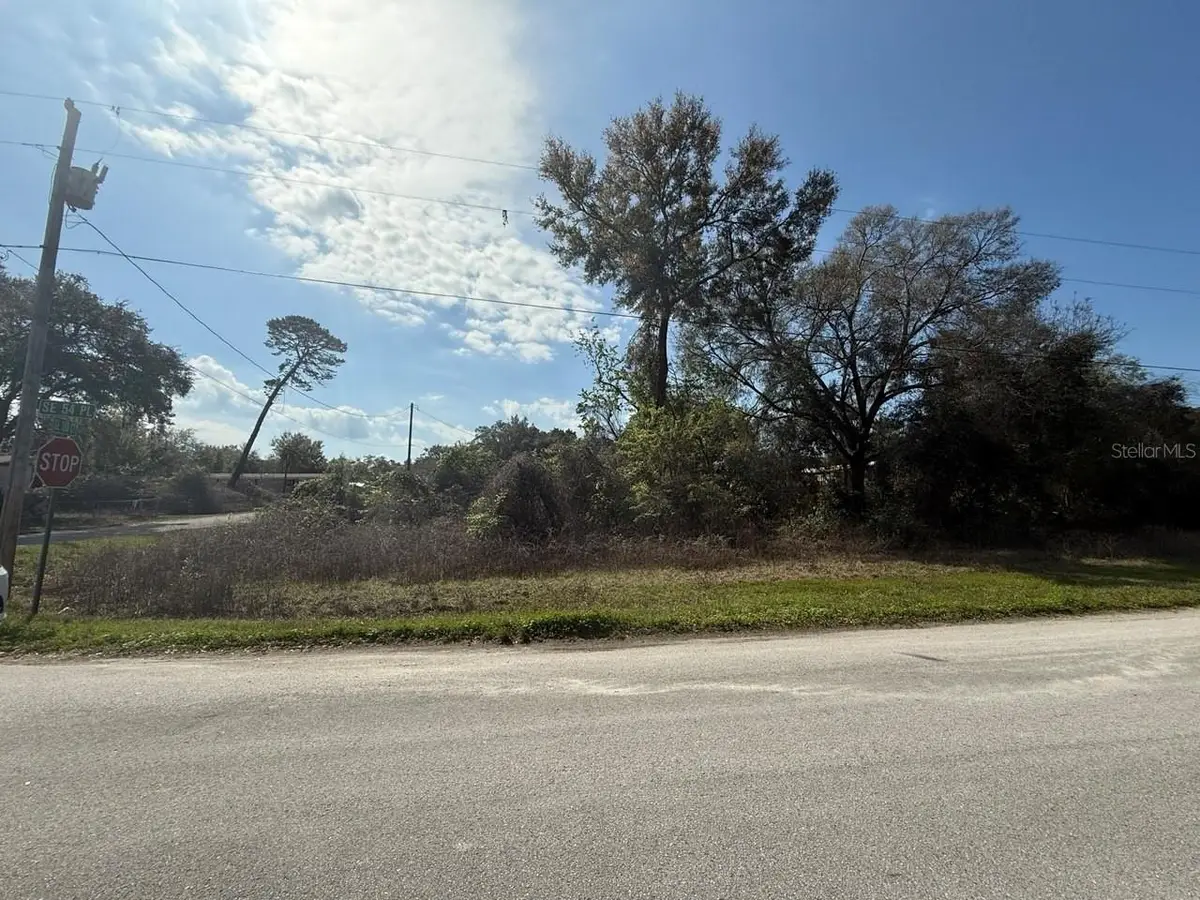 5510 SE 183rd Court, Ocklawaha, FL 32179 - #1