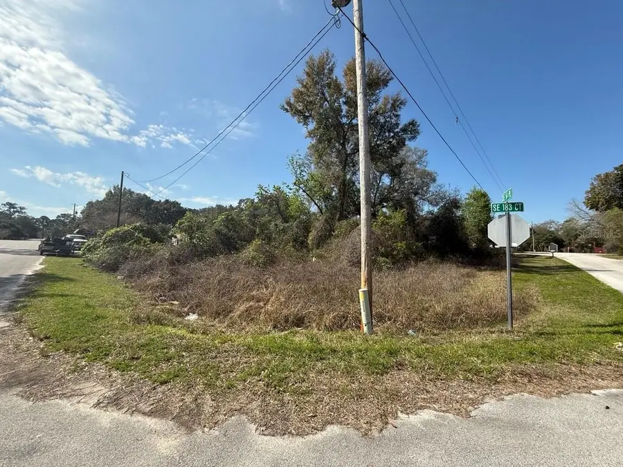 5510 SE 183rd Court, Ocklawaha, FL 32179 - #2