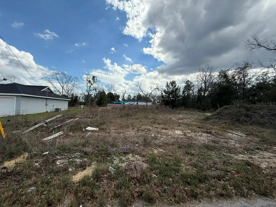 41 Fisher Lane Track, Ocklawaha, FL 32179 - #2