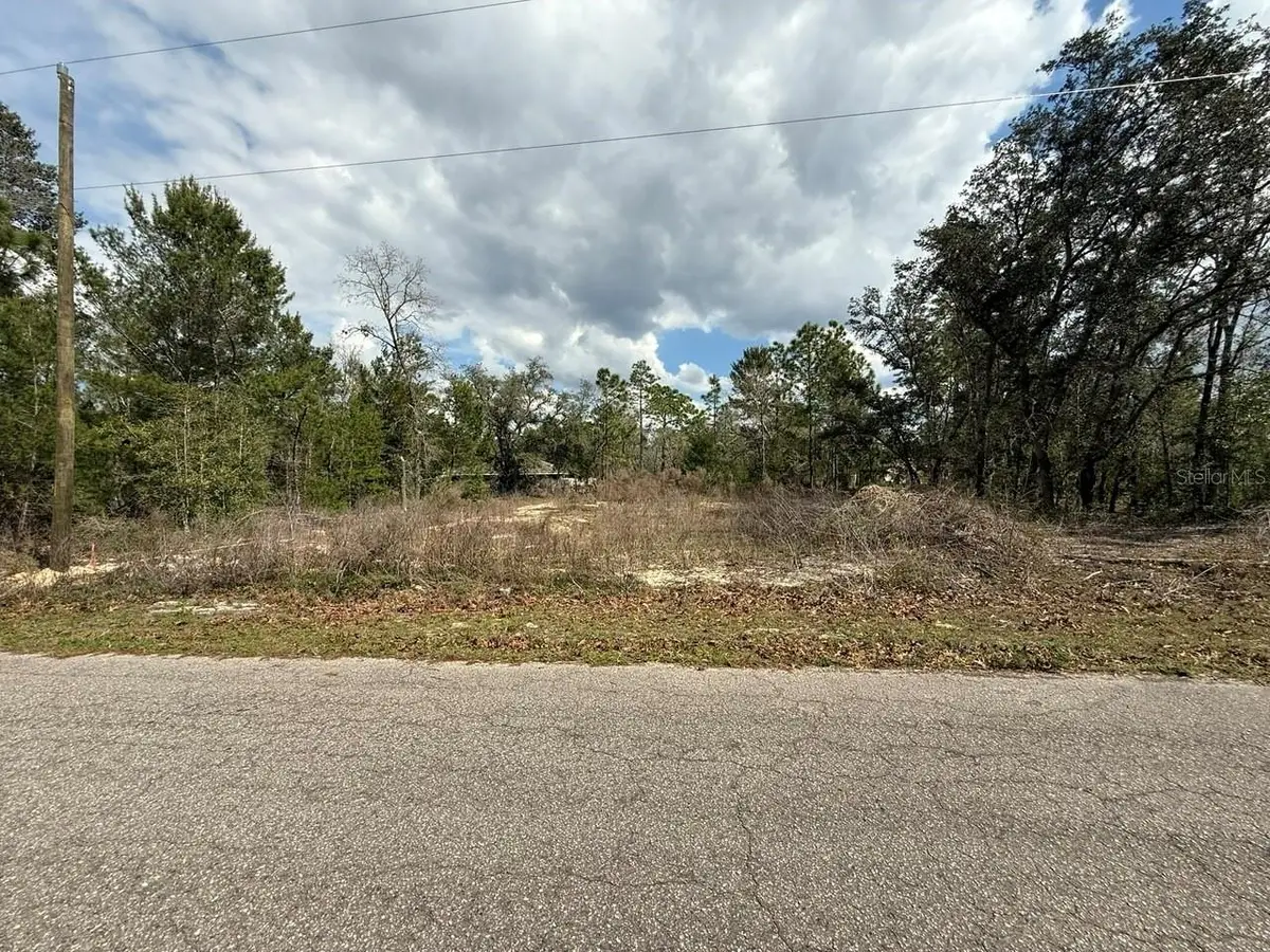 19 Fisher Lane Track, Ocklawaha, FL 32179 - #1