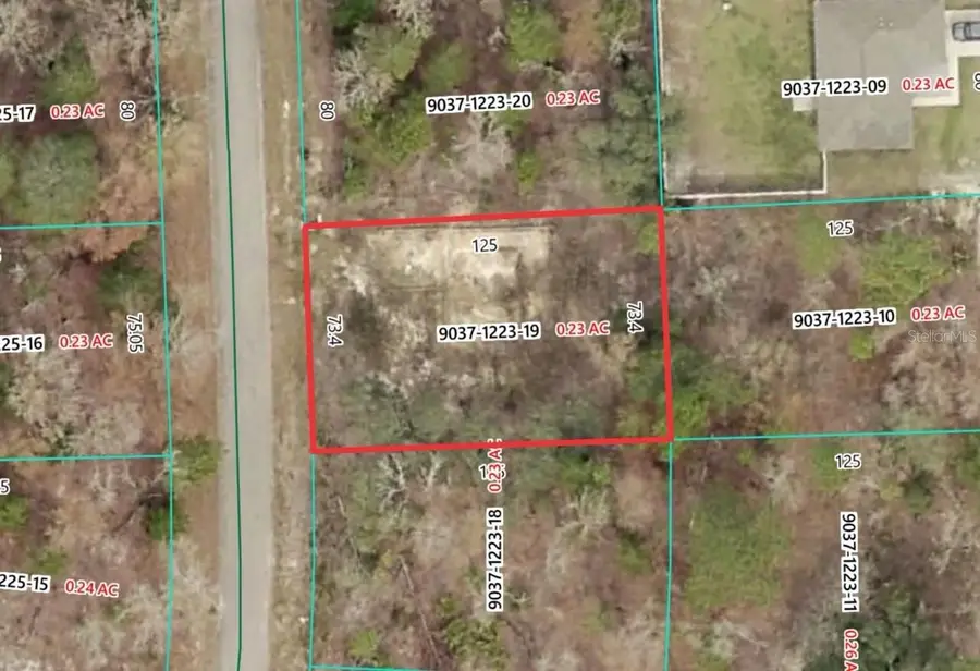 19 Fisher Lane Track, Ocklawaha, FL 32179 - #2