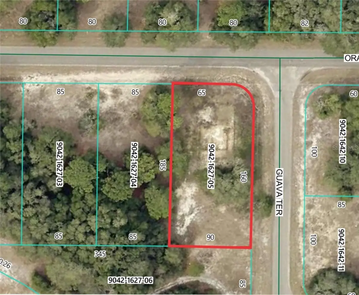 11745 Orange Road, Ocklawaha, FL 32179 - #1