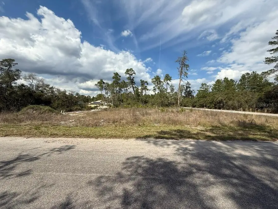 189 Fisher Court, Ocklawaha, FL 32179 - #2
