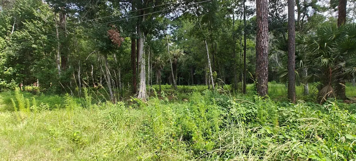 8401 Amelia Trail, Kissimmee, FL 34747 - #1