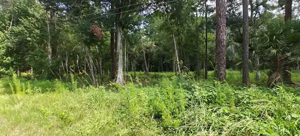 8401 Amelia Trail, KISSIMMEE, FL 34747