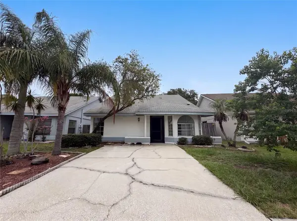 8613 Cottonway Lane, TAMPA, FL 33635