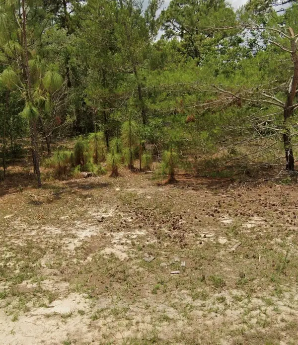 14214 SW 60th Terrace, OCALA, FL 34473