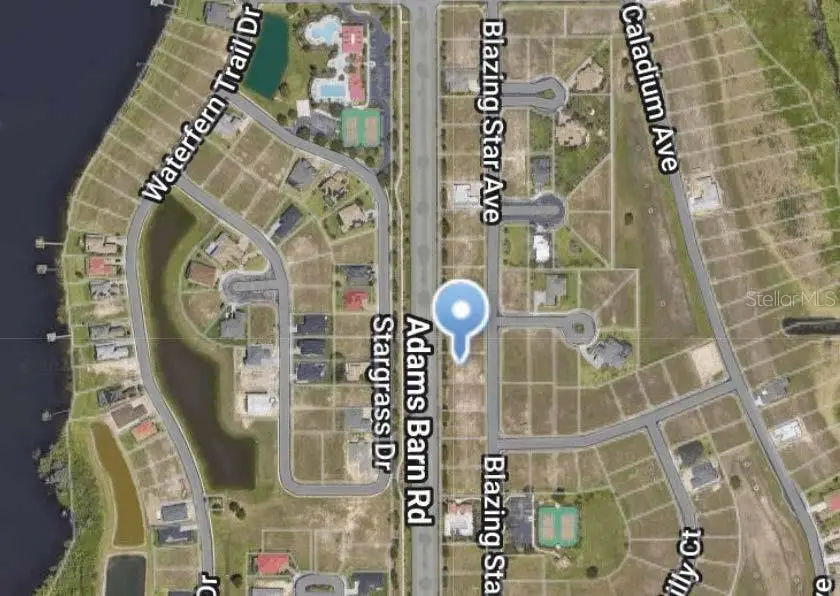 211 Blazing Star Avenue, Lake Alfred, FL 33850 - #2