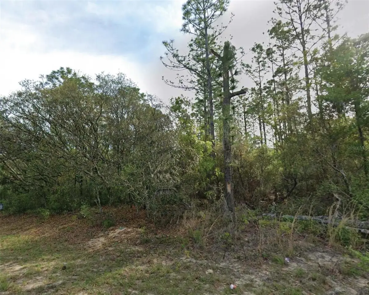 7745 N Maltese Drive, Citrus Springs, FL 34433 - #1