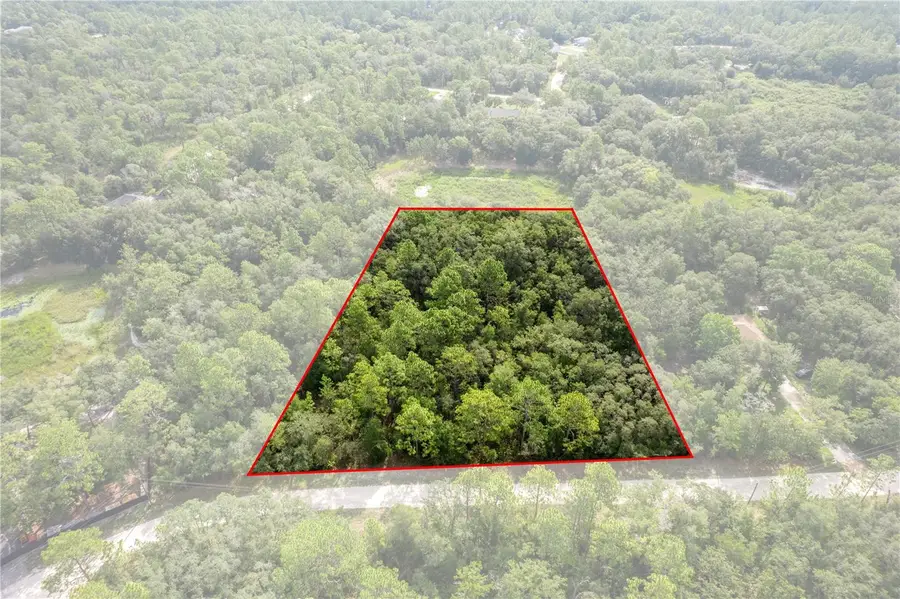 10497 Yellowlegs Avenue, Weeki Wachee, FL 34614 - #2