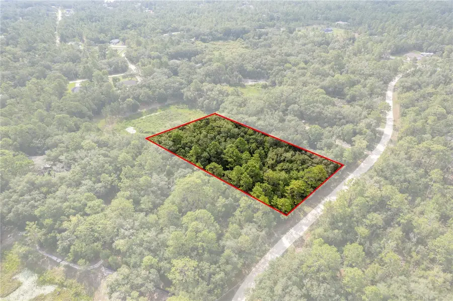 10497 Yellowlegs Avenue, Weeki Wachee, FL 34614 - #3