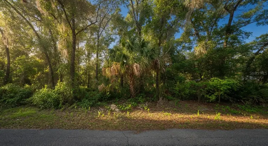 282 N Savary Avenue, Inverness, FL 34453 - #2