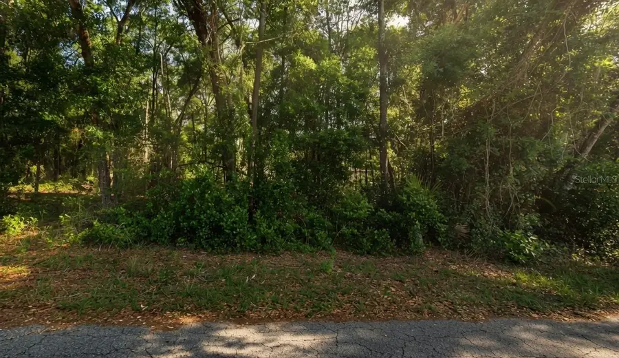 6355 E Peach Street, Inverness, FL 34452 - #3