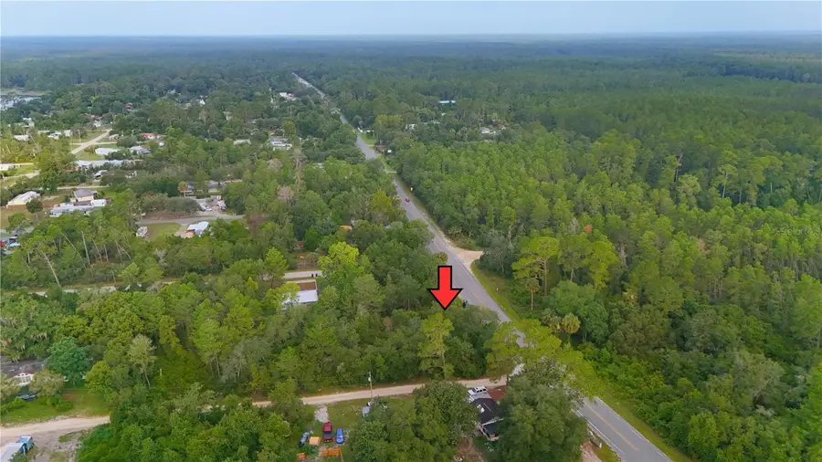 County Road 42, Paisley, FL 32767 - #2