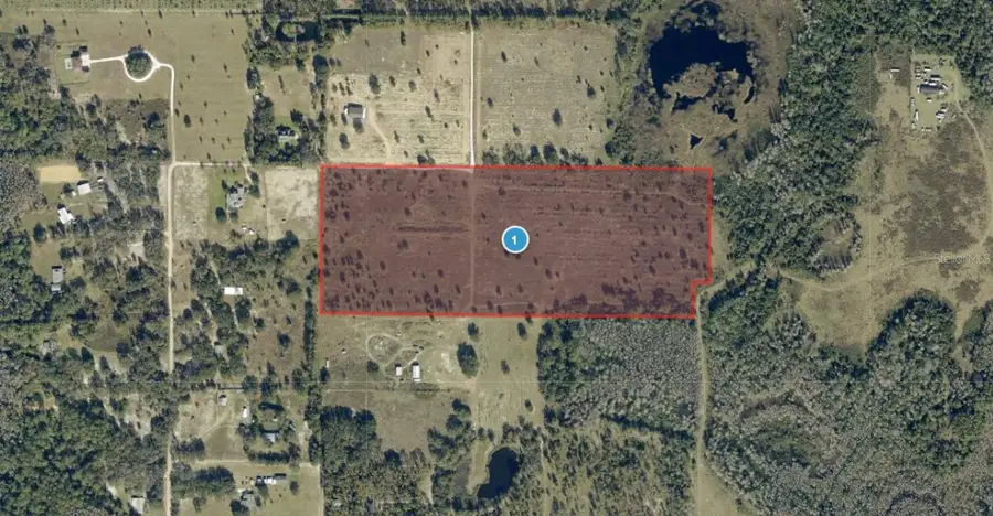 Private Drive, Clermont, FL 34711 - #2