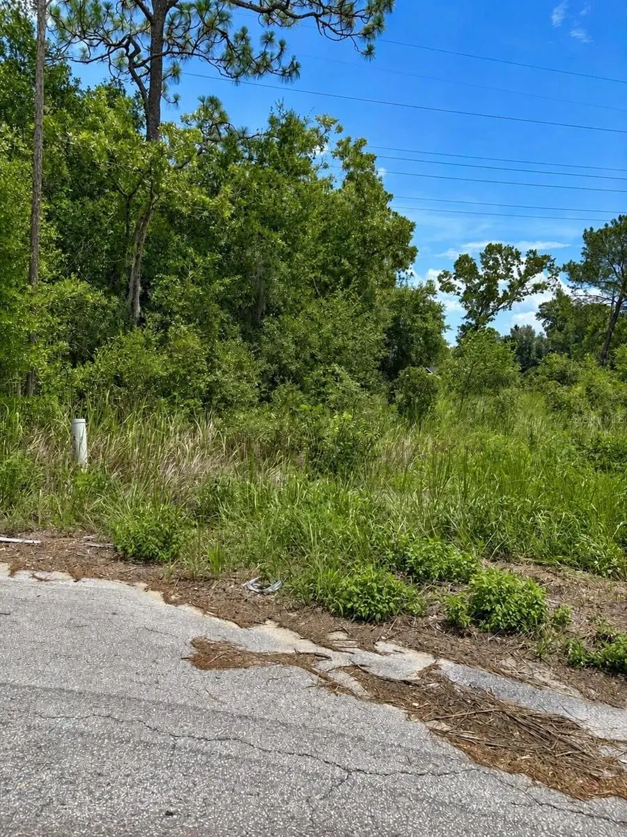 Water Track Lot 08, Ocala, FL 34477 - #1