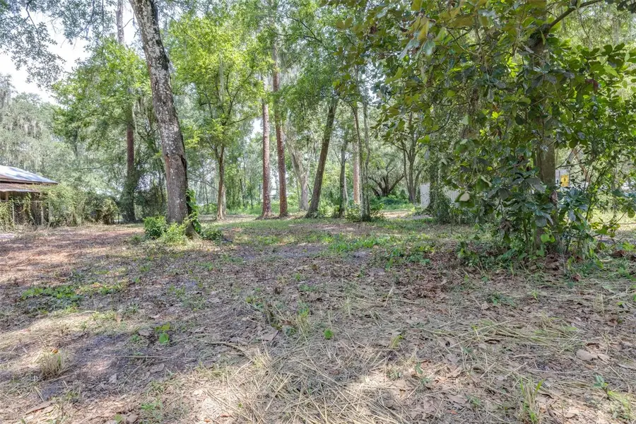 SE 124th Avenue, Webster, FL 33597 - #2