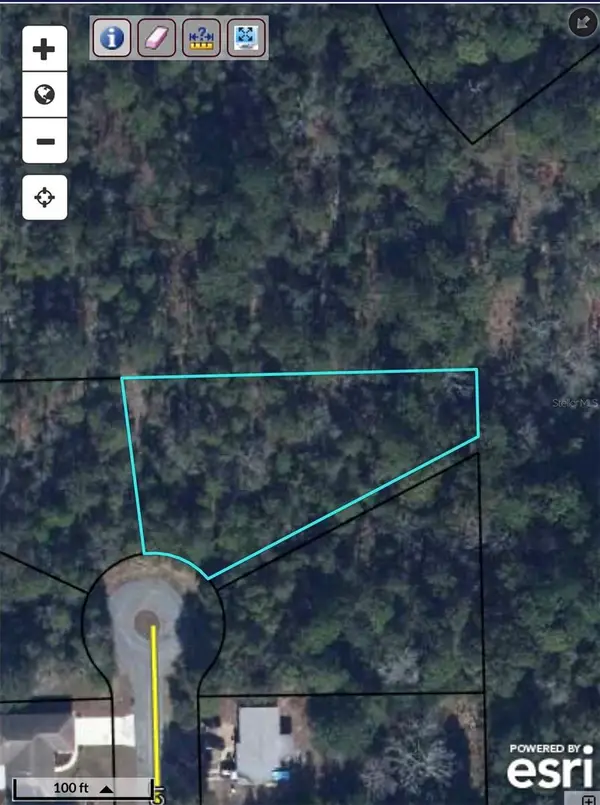 TBD Helmly Court, CHIPLEY, FL 32428