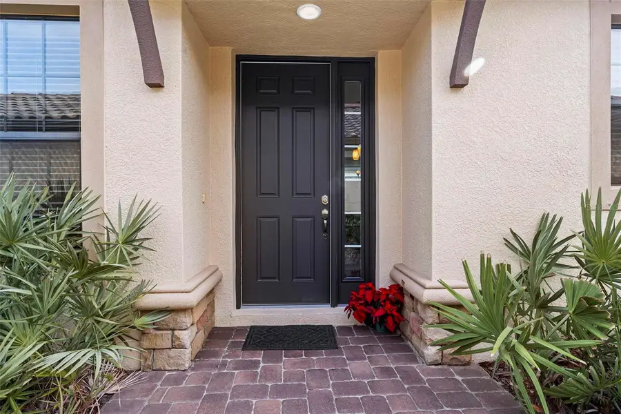 8424 Alberata Vista Drive, Tampa, FL 33647 - #2