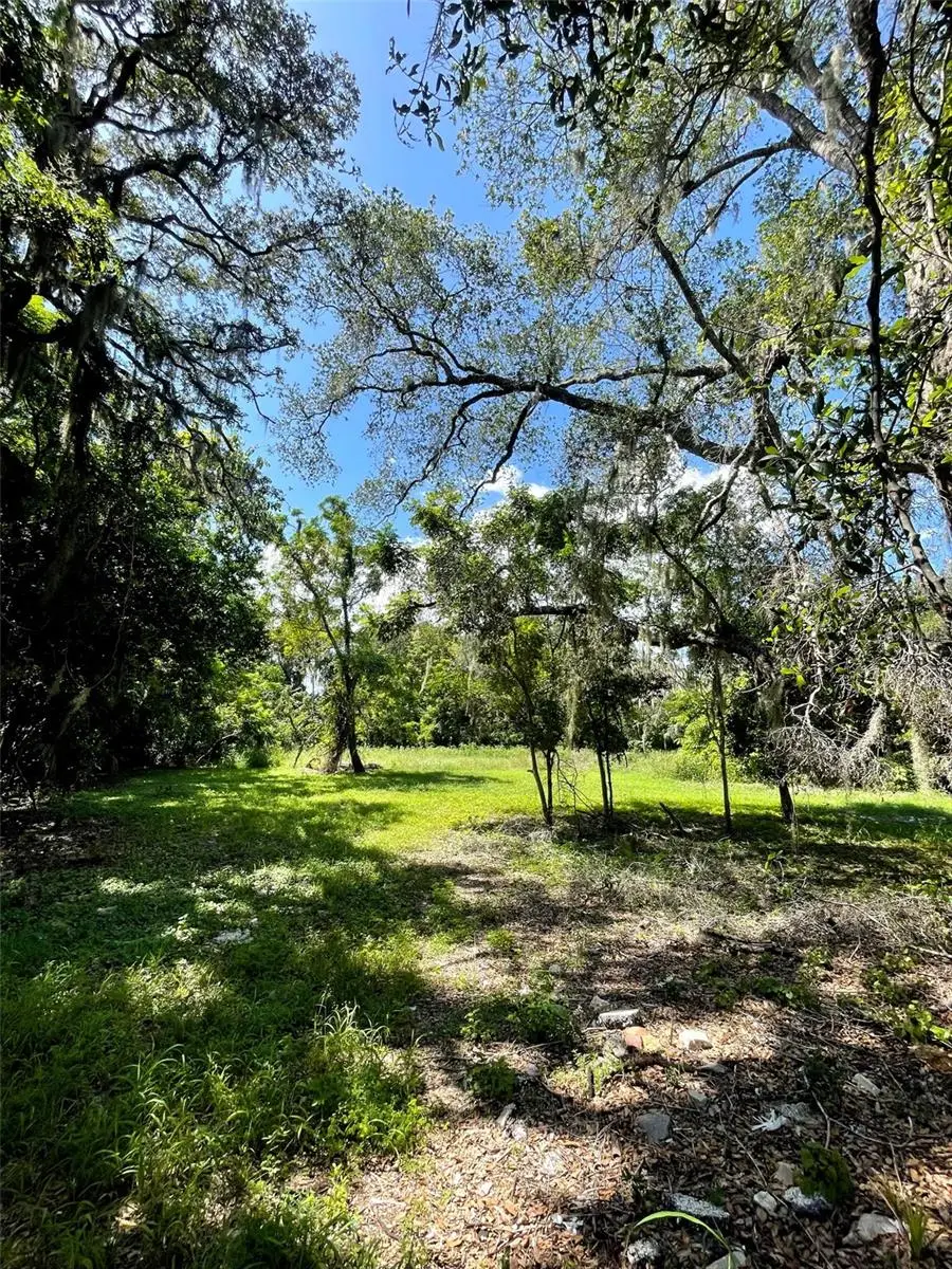 194 E 11th Street, Apopka, FL 32703 - #1