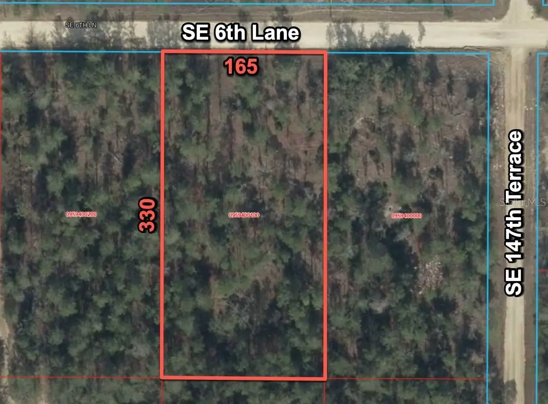 14710 SE 6th Lane, Williston, FL 32696 - #1