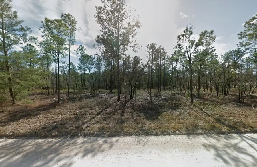 14710 SE 6th Lane, Williston, FL 32696 - #3