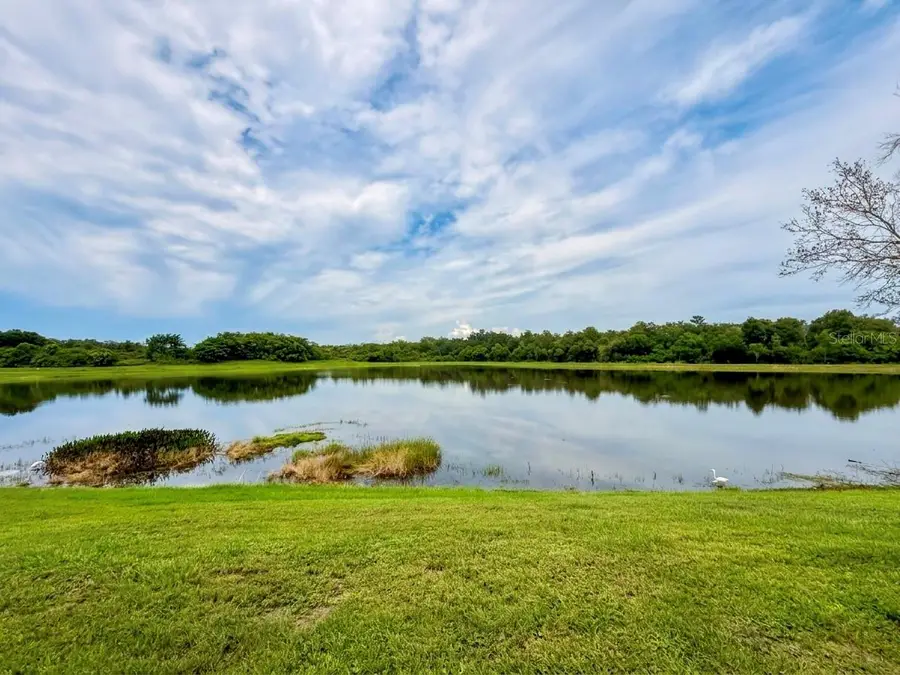 3133 Riachuelo Lane, Kissimmee, FL 34744 - #2