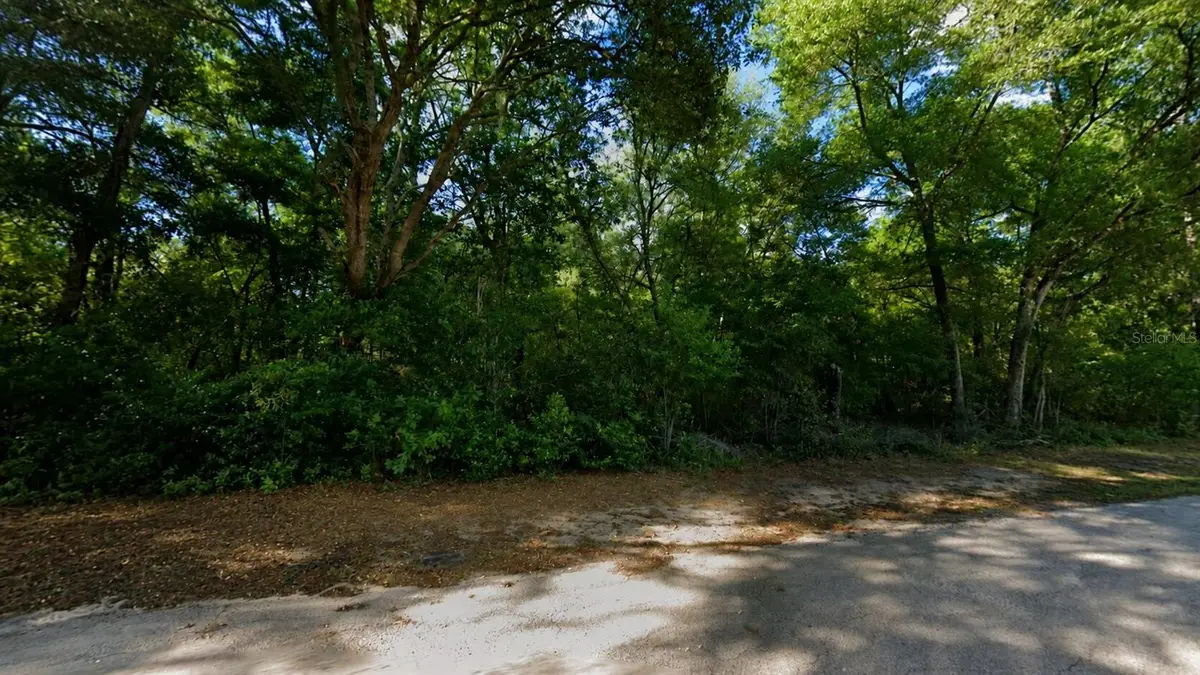 3133 E Lloyd St, Inverness, FL 34453 - #1