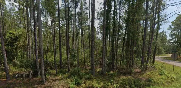6450 Merrick Drive, SEBRING, FL 33872