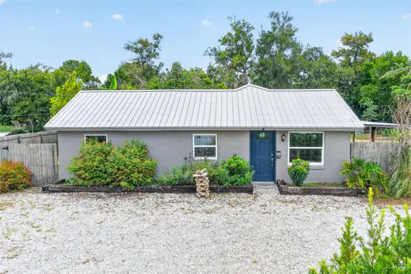 1111 Dora Avenue, TAVARES, FL 32778