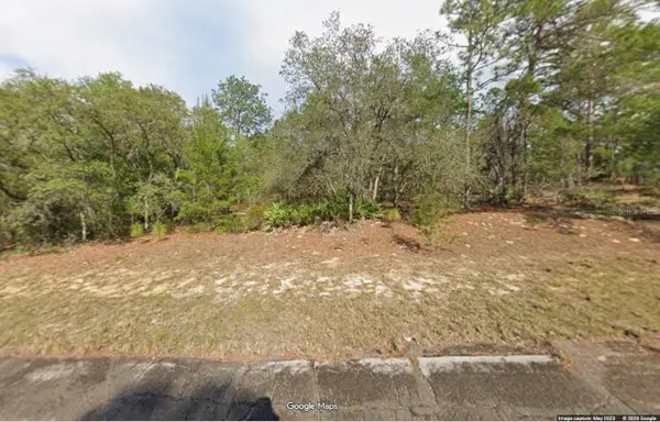 11155 N Edna Terrace, CITRUS SPRINGS, FL 34433