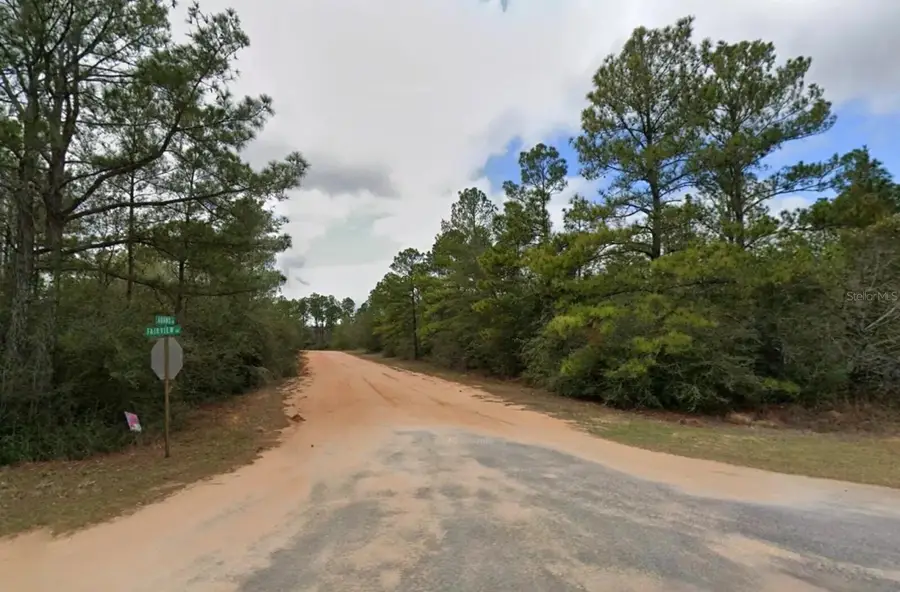 Adams Drive, Alford, FL 32420 - #3