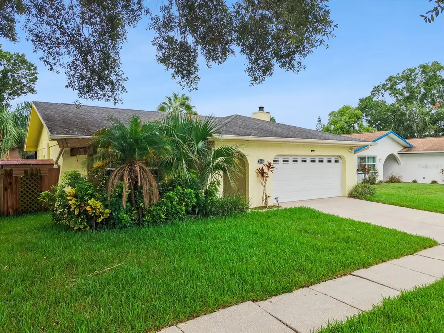 11606 Painted Hills Lane, Tampa, FL 33624 - #2