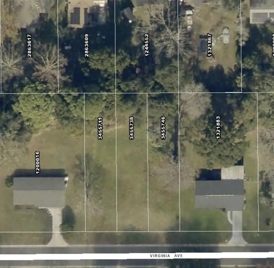 Virginia Avenue, Eustis, FL 32726 - #2