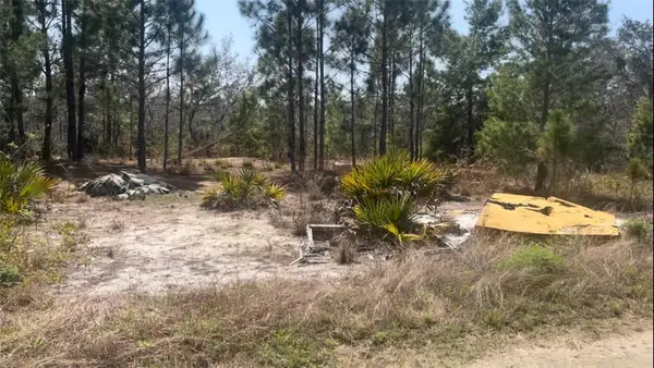 246 Caspian Tern Avenue, SEBRING, FL 33870