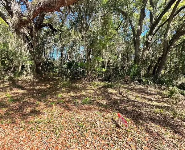 Guava Terrace, OCKLAWAHA, FL 32179