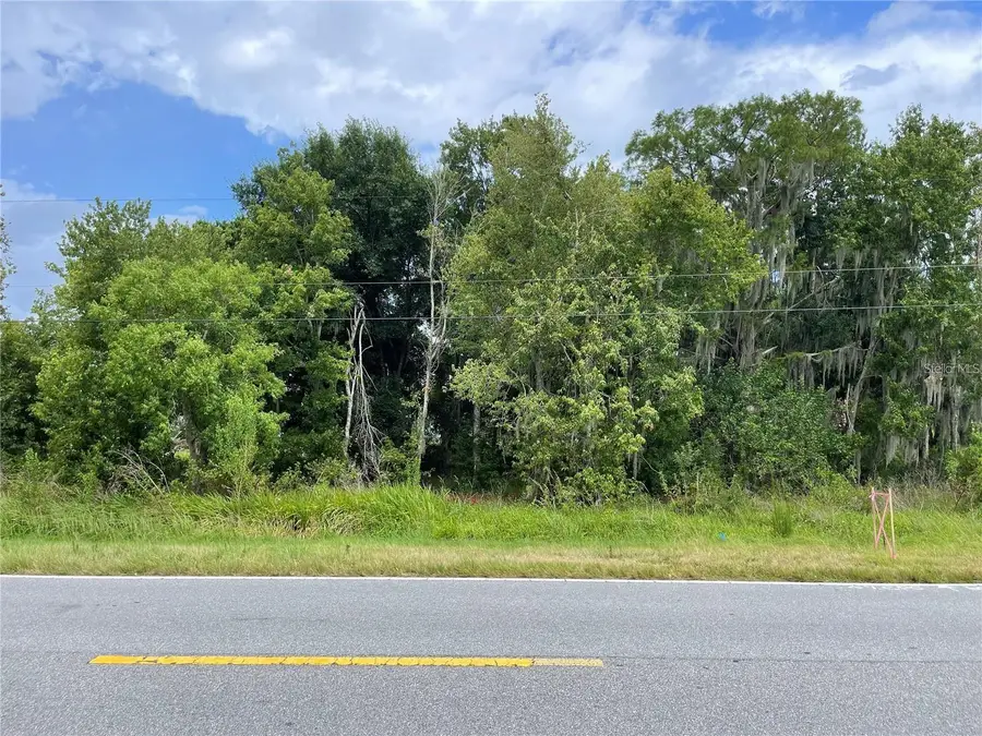 E Lake Shore Boulevard, Kissimmee, FL 34744 - #2