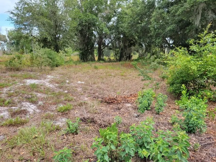 E Lake Shore Boulevard, Kissimmee, FL 34744 - #3