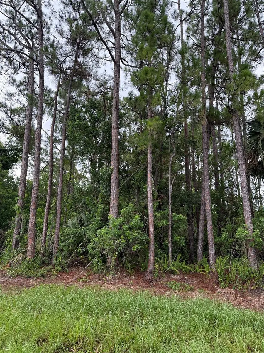 2361 San Filippo Drive Se, Palm Bay, FL 32909 - #1