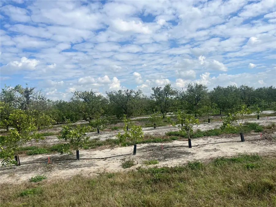 Ne Hwy 70 #04-24-04, Arcadia, FL 34266 - #3