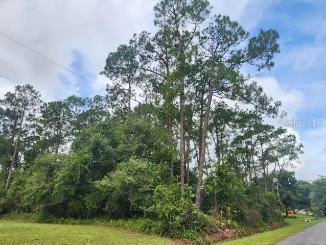 14634 Henson Road, Orlando, FL 32832 - #1