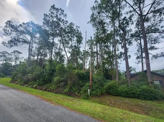 14634 Henson Road, Orlando, FL 32832 - #2