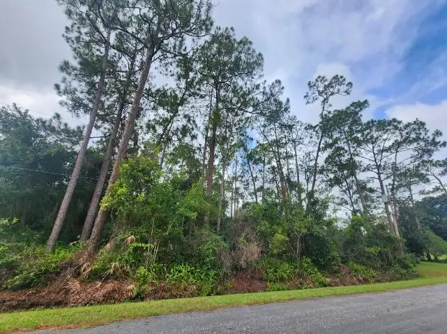 14634 Henson Road, Orlando, FL 32832 - #3