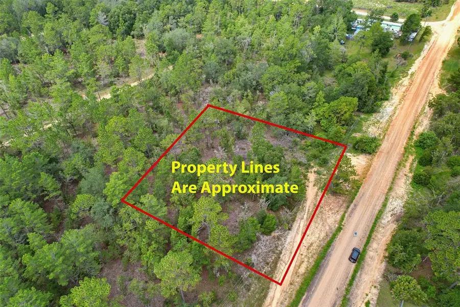 515 Interlachen Boulevard, Interlachen, FL 32148 - #2