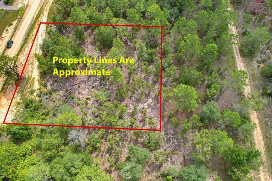 515 Interlachen Boulevard, Interlachen, FL 32148 - #3